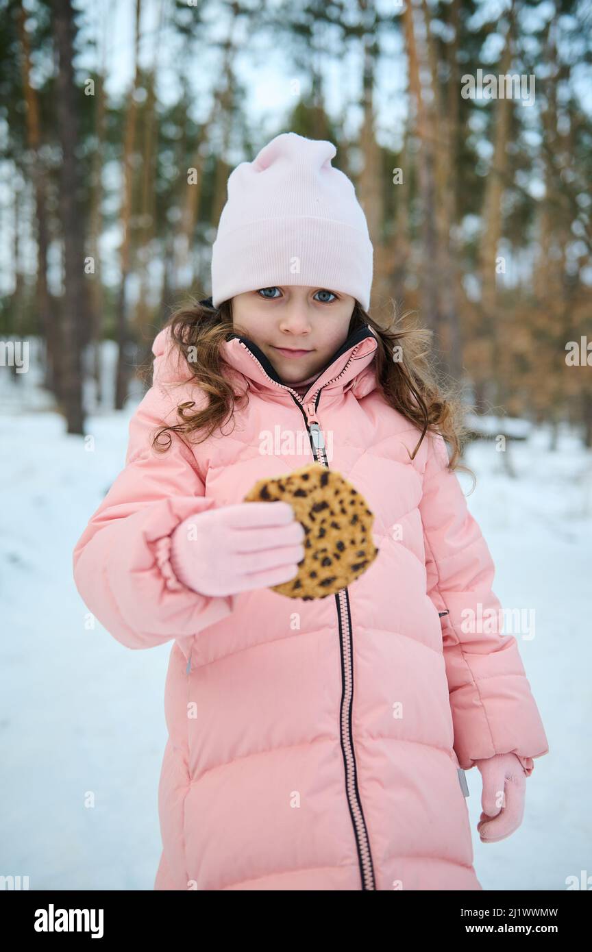 Adorable 4 yeard old child, beautiful little girl in pink pastel warm winter clothes holding a delicious biscuits with chocolat, snacking outdoor in a Stock Photo