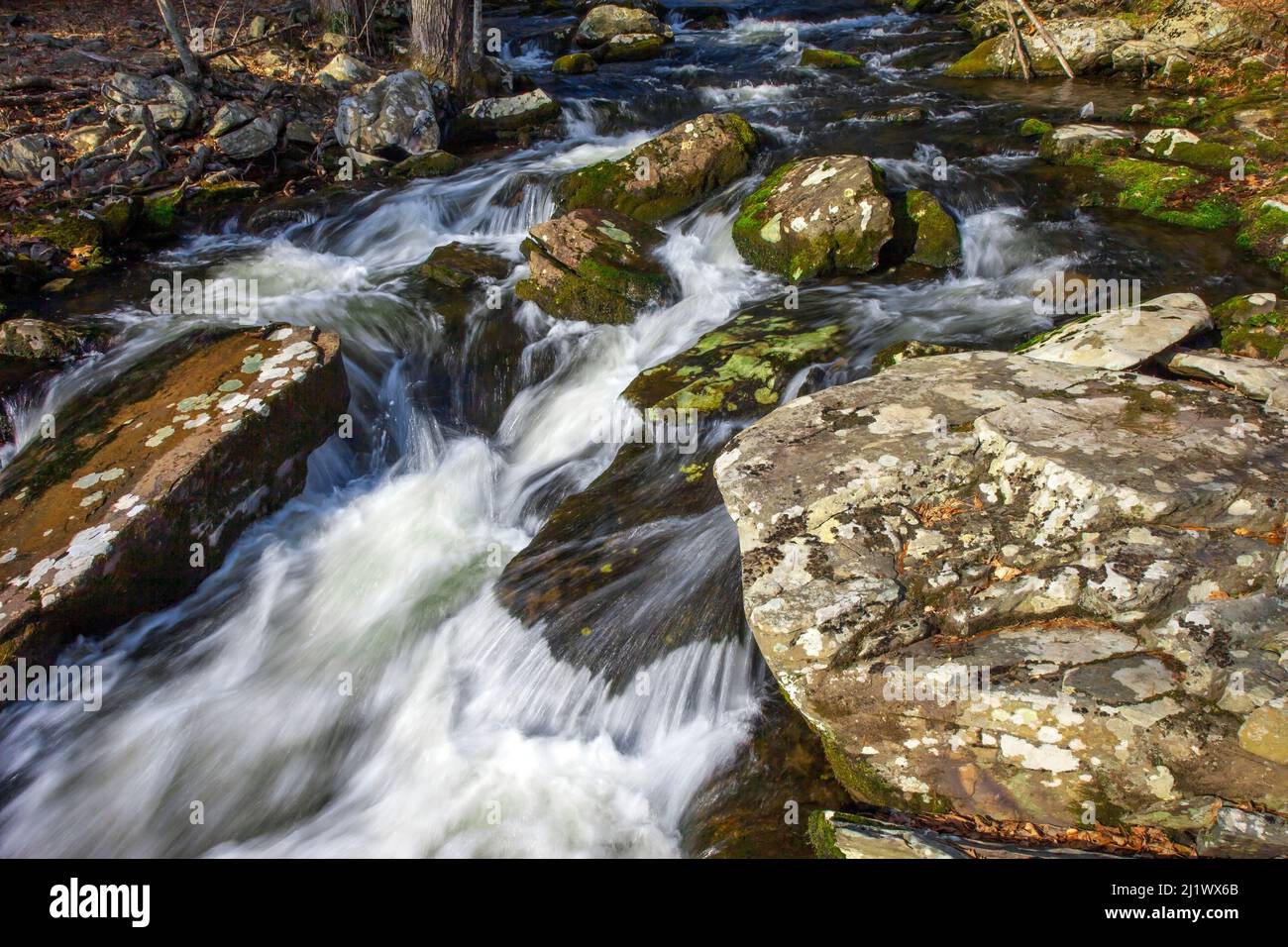 Stony Run is a small tributary of the Brodhead Creek, a firstclass