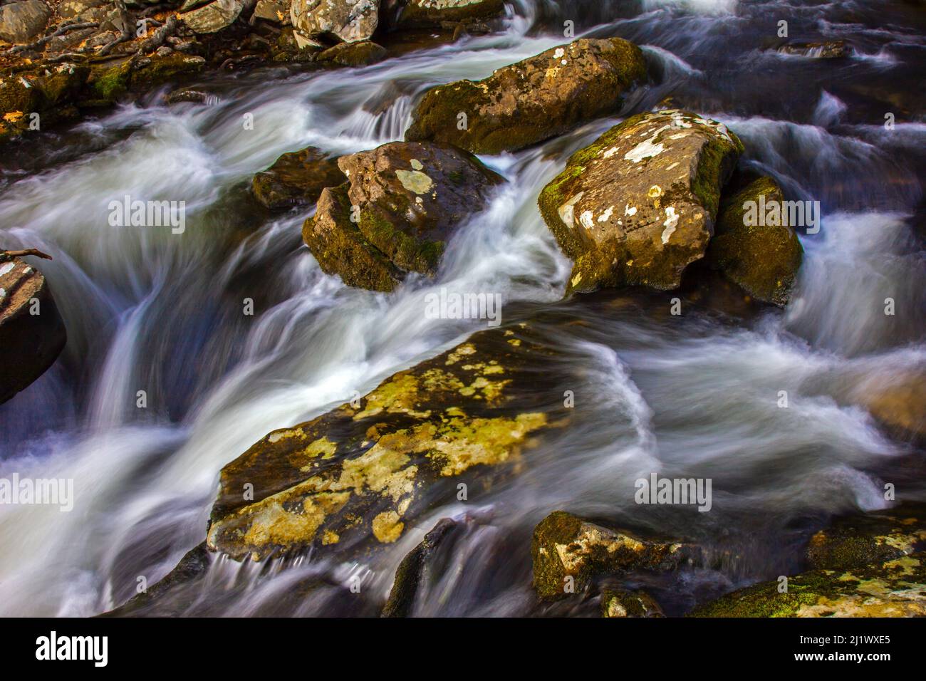 Stony Run is a small tributary of the Brodhead Creek, a firstclass