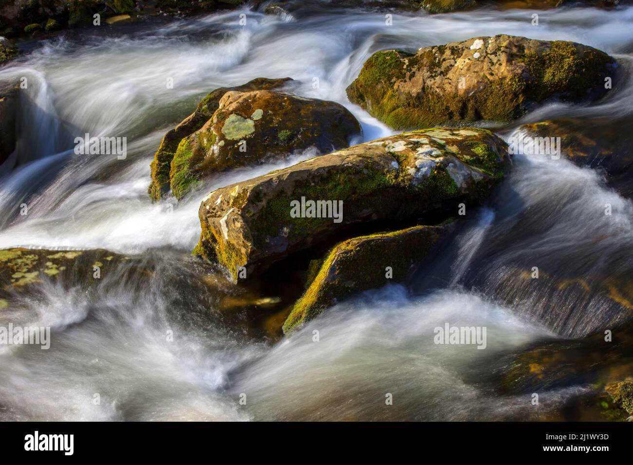 Stony Run is a small tributary of the Brodhead Creek, a firstclass trout stream, which in turn