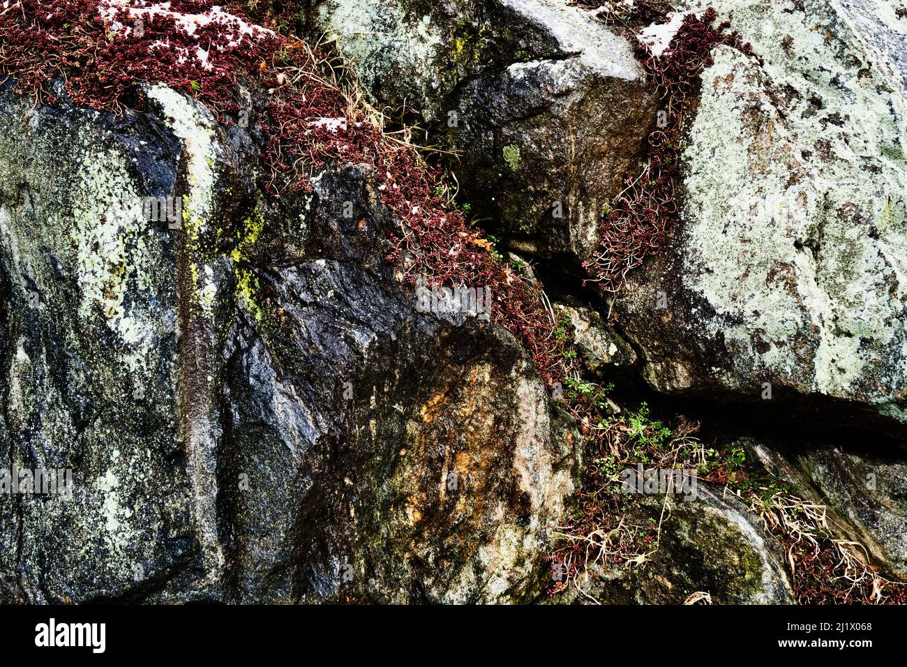 rocks and moss on a cold day Stock Photo - Alamy