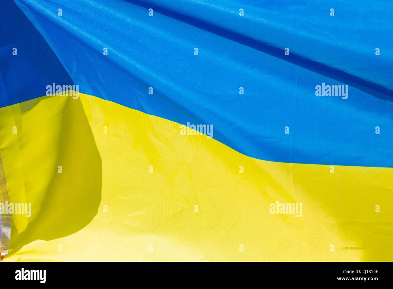 Flag of the Ukraine waving in the wind Stock Photo - Alamy