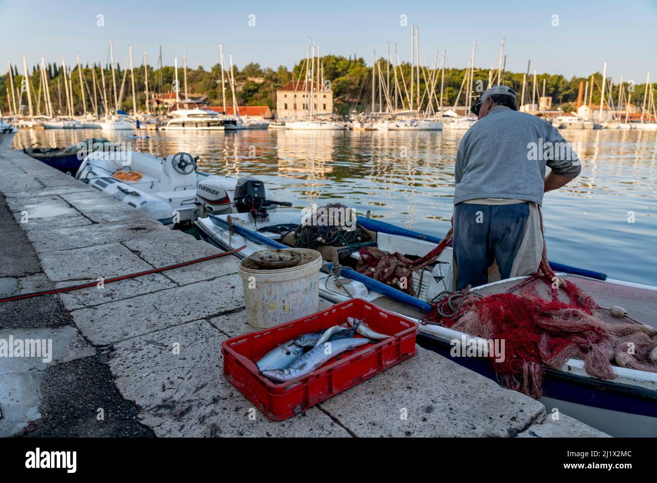 fisherman with fish in small harbour  (CTK Photo/Ondrej Zaruba) Stock Photo