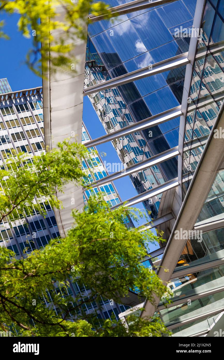 Reflections of trees and modern architecture in city skyscraper windows Stock Photo