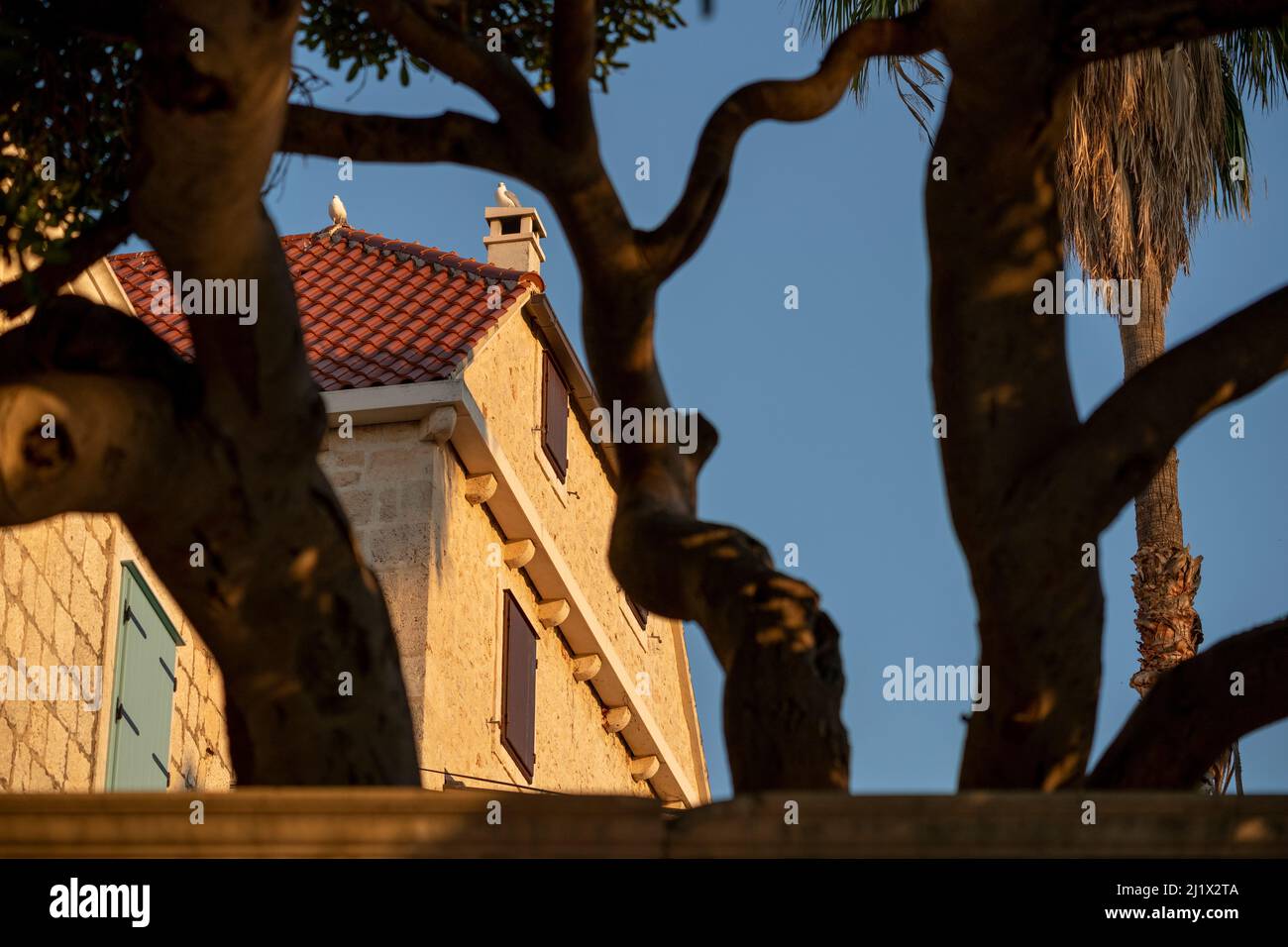 harbour and houses of town Milna  (CTK Photo/Ondrej Zaruba) Stock Photo