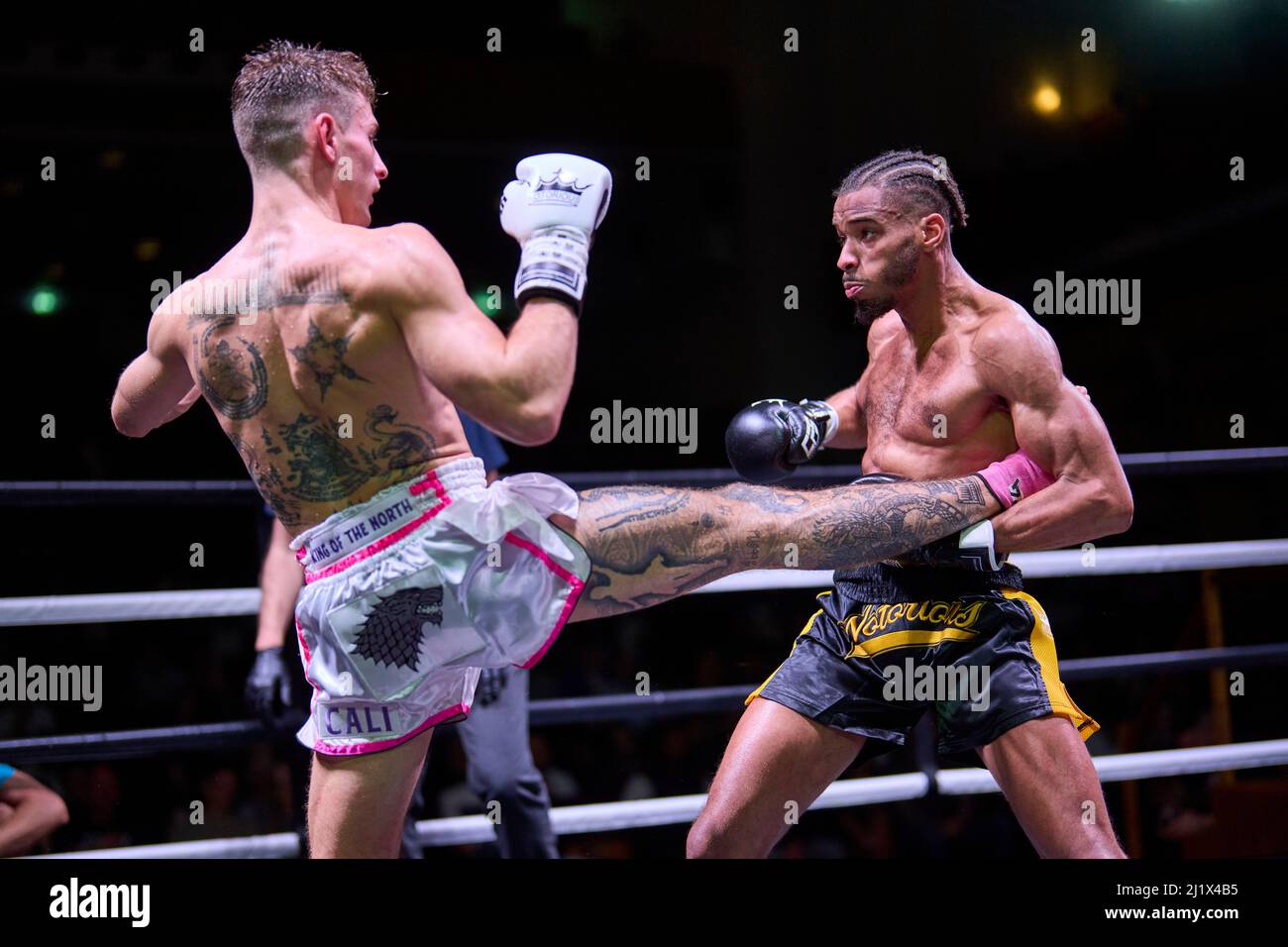 two caucasian Muay Thai kickboxing kickboxer thai boxing men isolated on  white background Stock Photo - Alamy