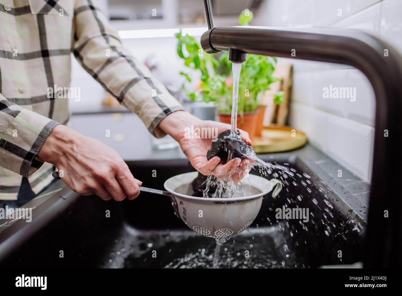 Woman cleaning shungite stones in sieve with pouring water in sink