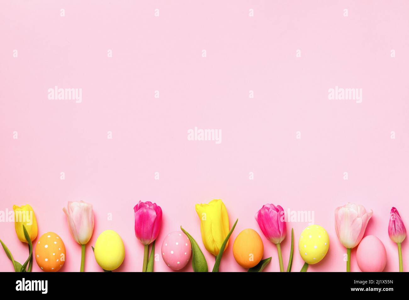 Easter composition tulips and eggs on pink background Stock Photo