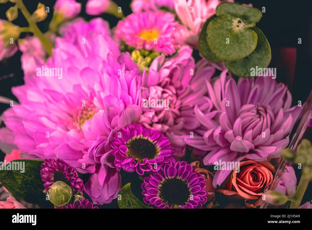 Purple and pink flowers grouped together Stock Photo Alamy