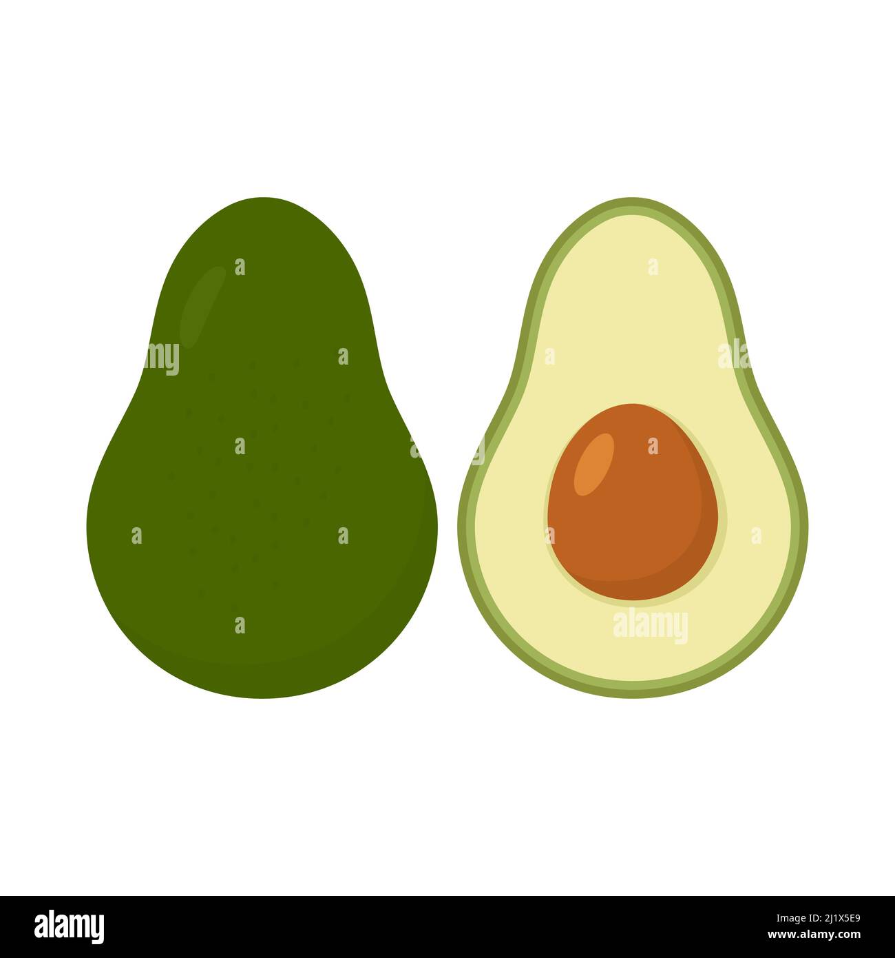 Avocado fruit set. Healthy food symbol. Whole and half avocado. Vector