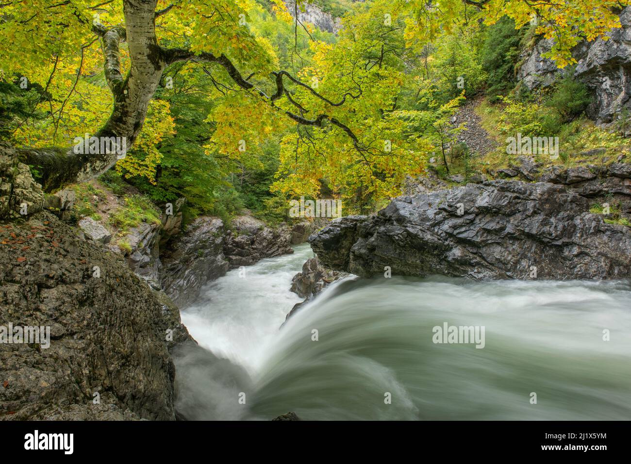 River Ara, Valle de Bujaruelo, Ordesa National Park, Spain. October 2019. Stock Photo
