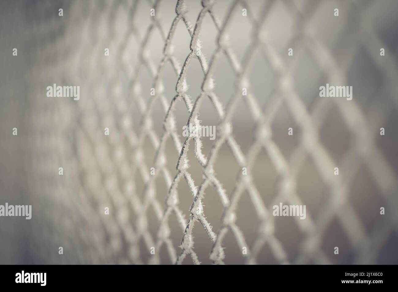 A delective focus shot of fozen metal grid fence Stock Photo - Alamy