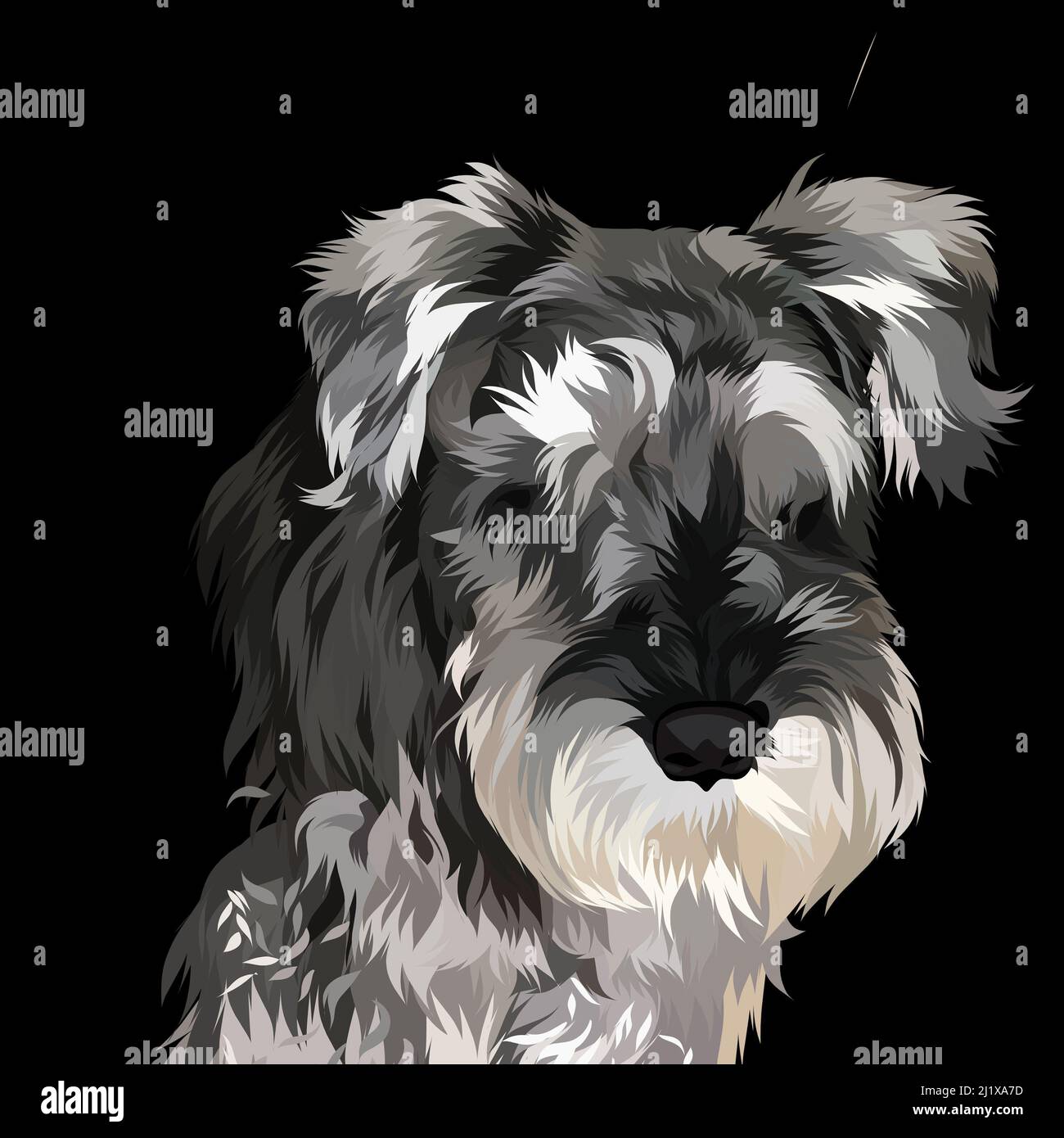 A vertical black and white illustrative painting of a Schnauzer Stock Photo