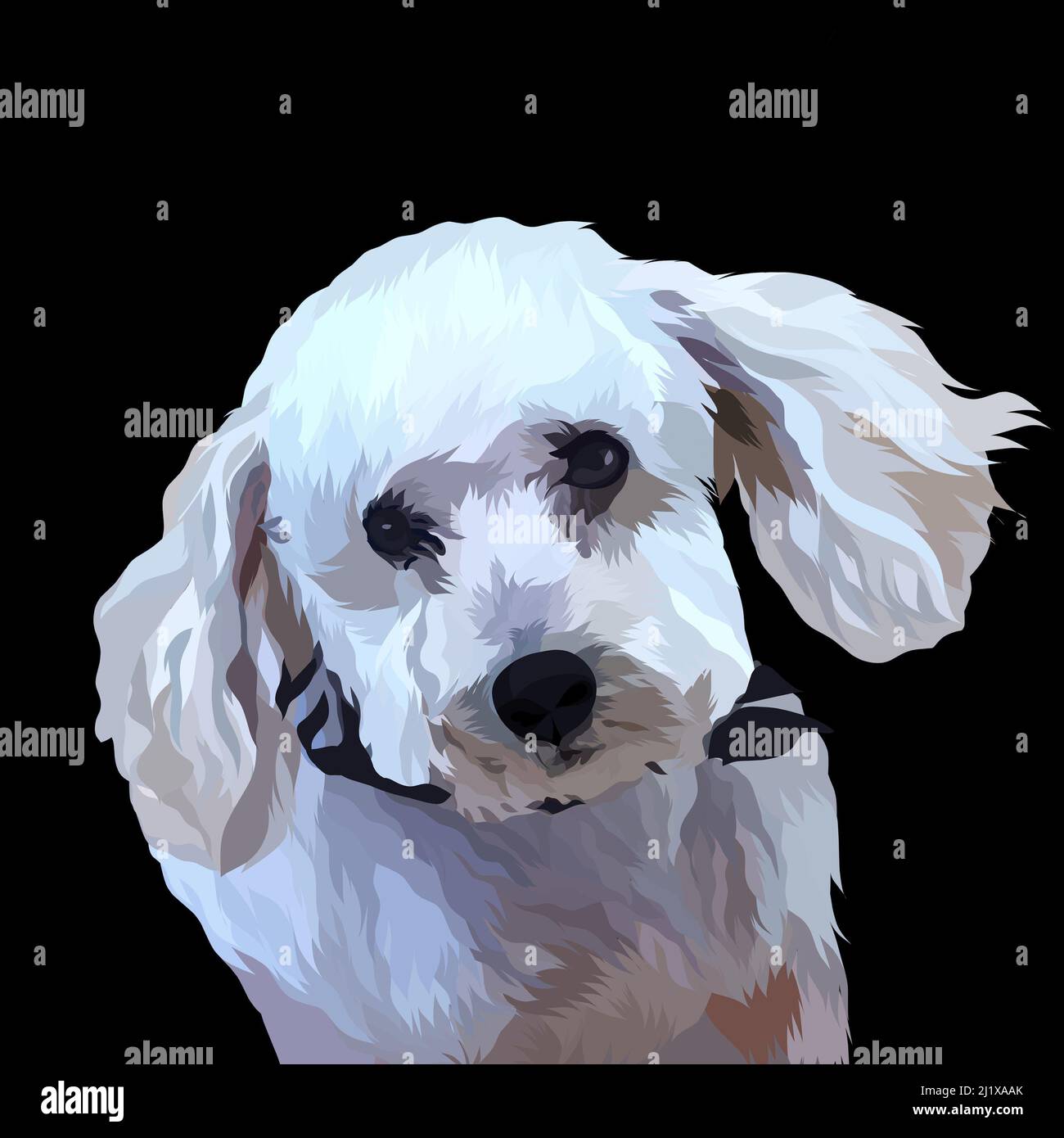 A vertical illustrative painting of a white poodle Stock Photo
