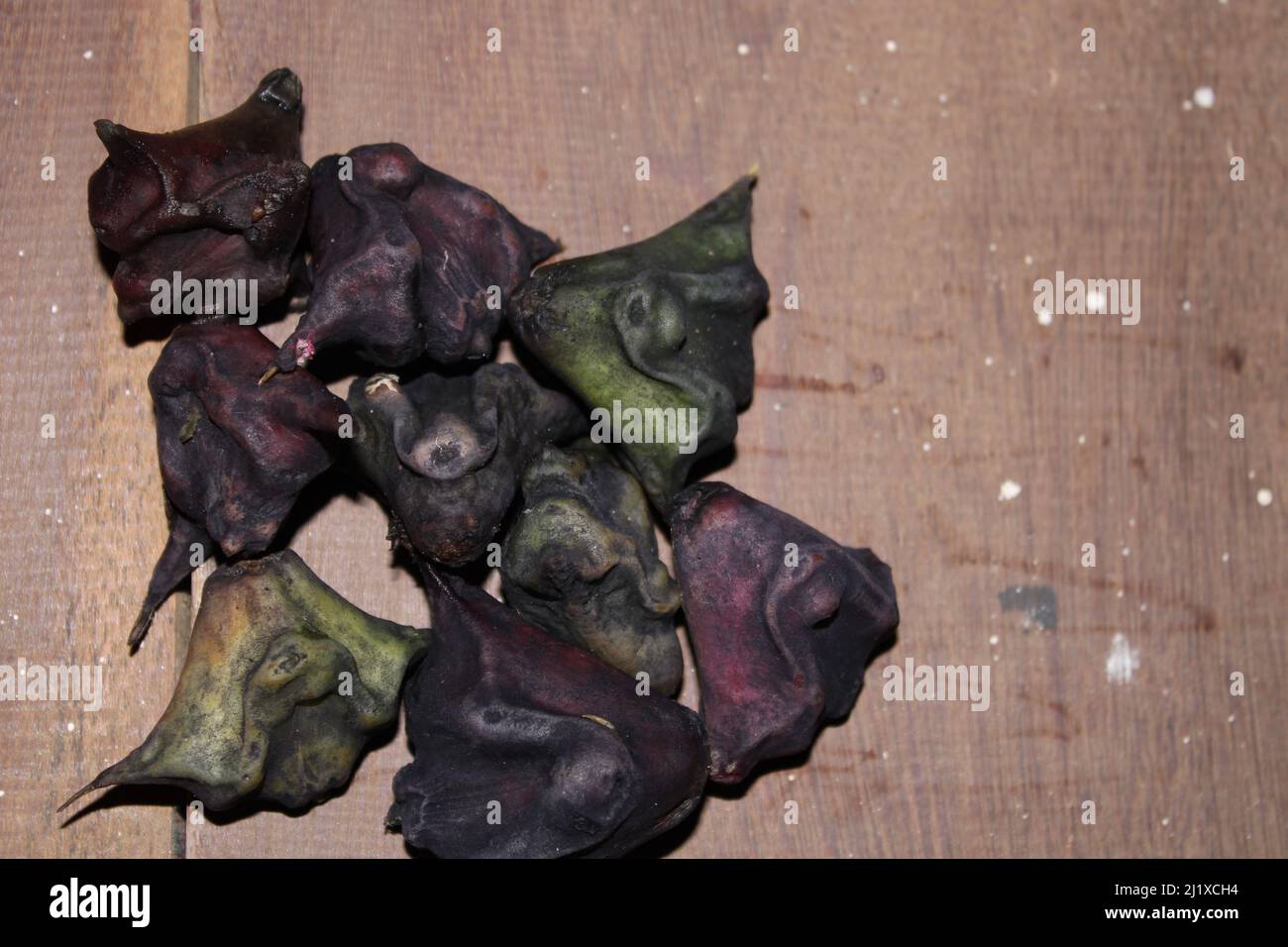 caltrop, indian sweet food singhra ( water caltrop fruit ) on the wooden background. Stock Photo