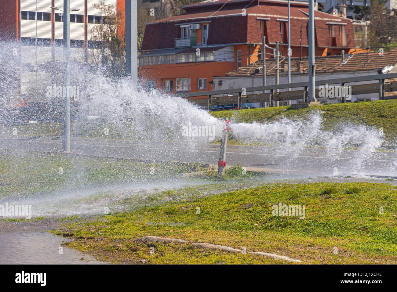 Broken Fire Hydrant Spraying Water at Stree and Park Stock Photo Alamy