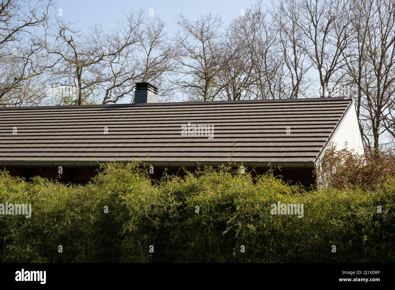 Flat roof house hi-res stock photography and images - Alamy