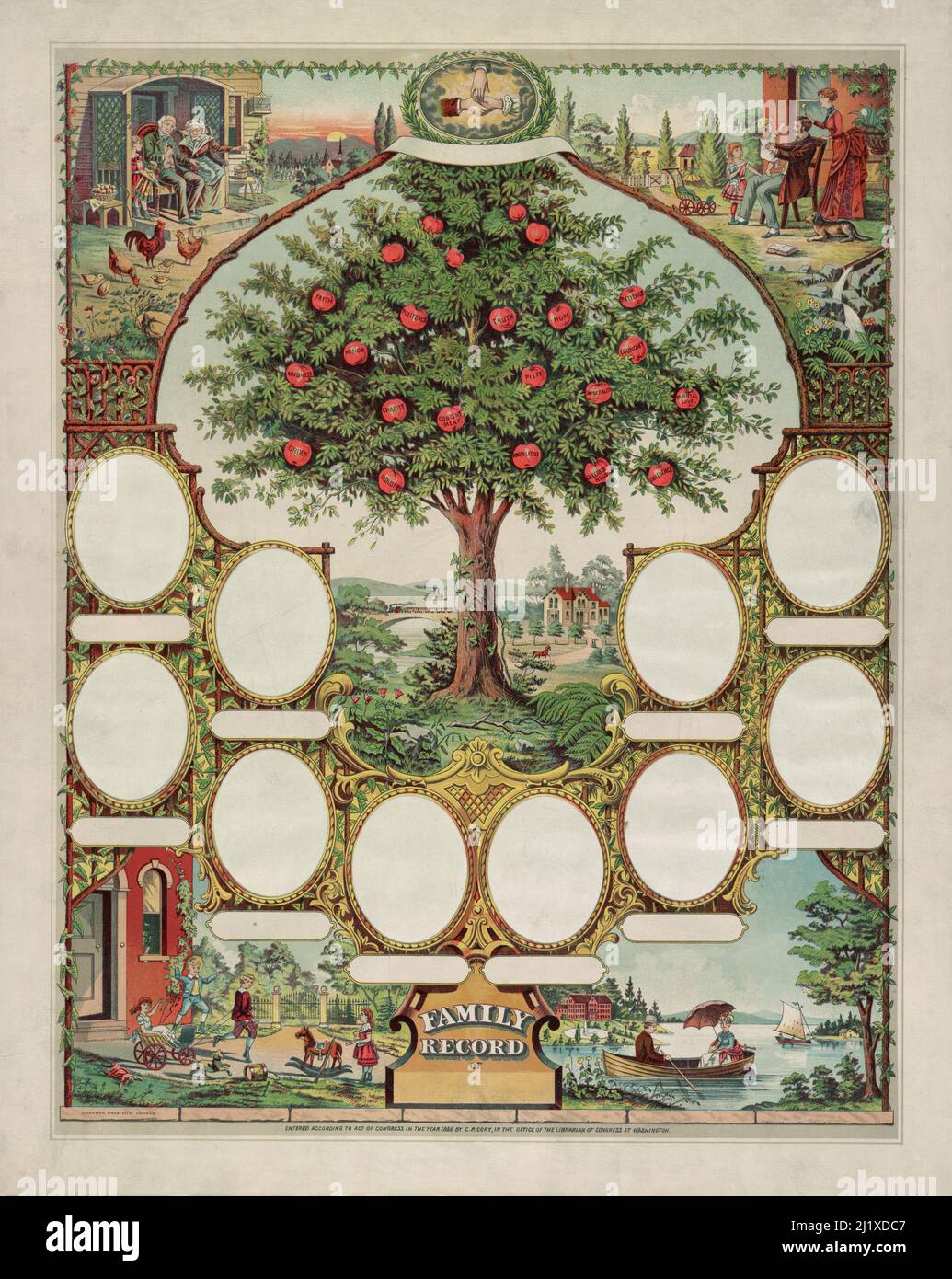 A vintage lithograph print circa 1888 showing a family tree chart with spaces for photos or portraits and illustrated with various family scenes and a large apple tree in the centre produced by Chapman Brothers of Chicago Stock Photo