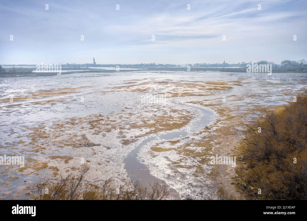 Mud flats of Venetian lagoon. Shallow coast of Torcello island, Italy ...