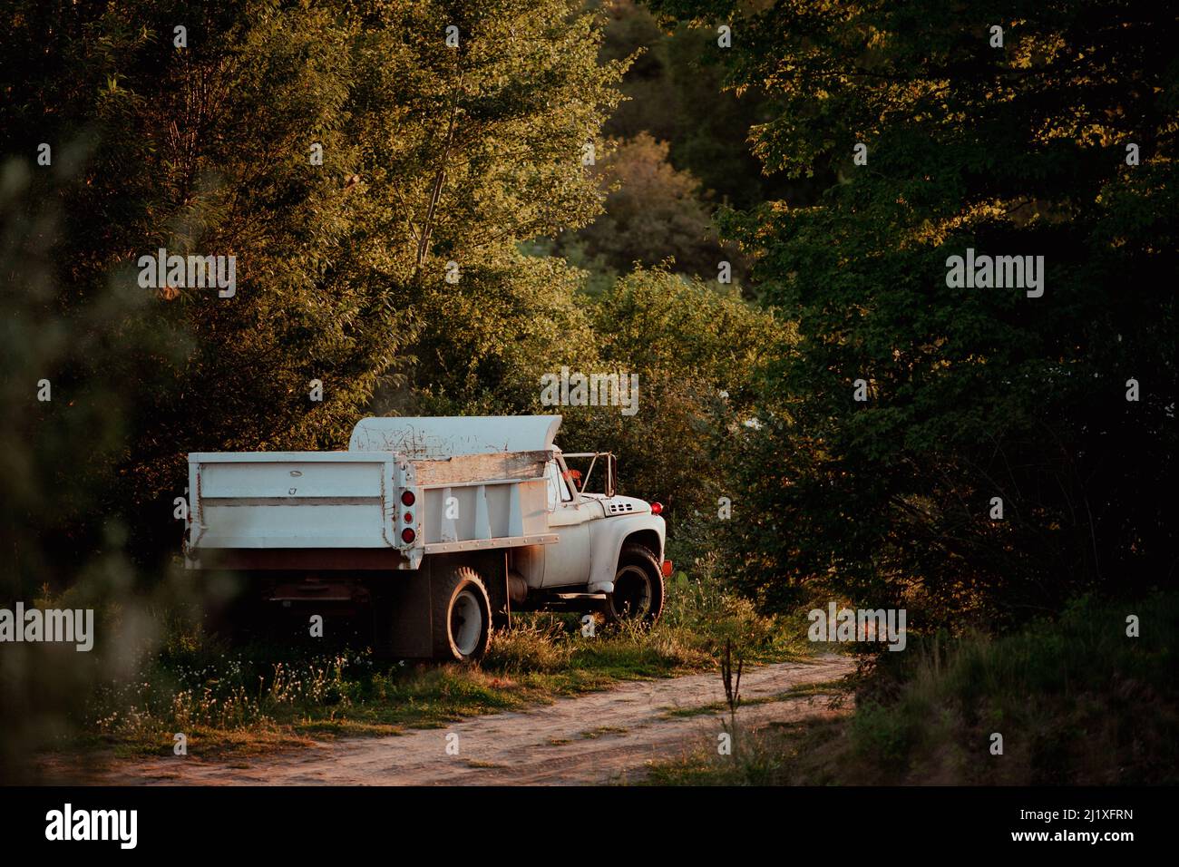 A rusty painted white dump truck on the side of a rural road Stock