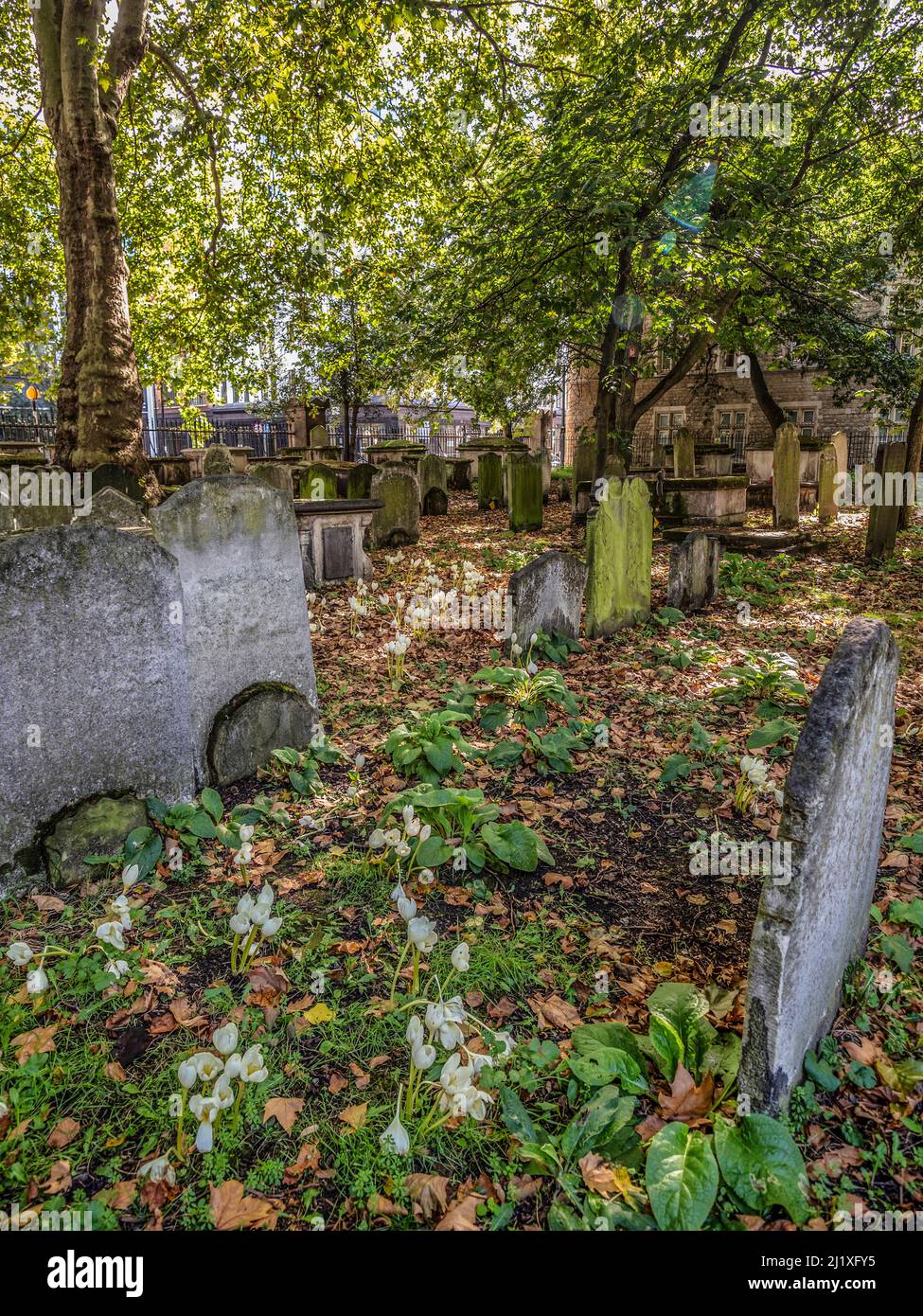 Gravestones in Bunhill Fields Burial Ground and Garden. City Road