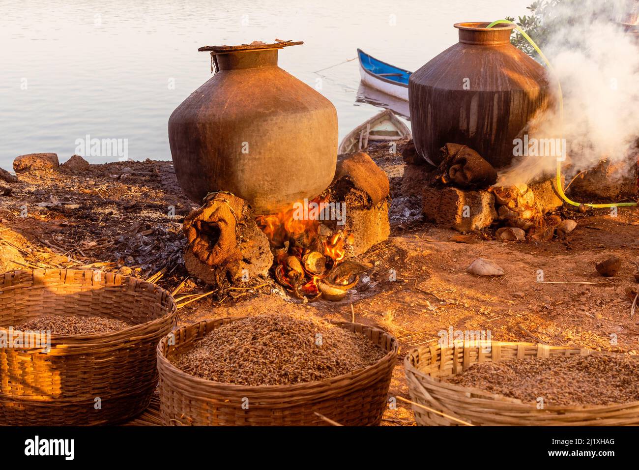 Oct 9 2021 Local farmers harvesting,, boiling, drying and de husking in ...