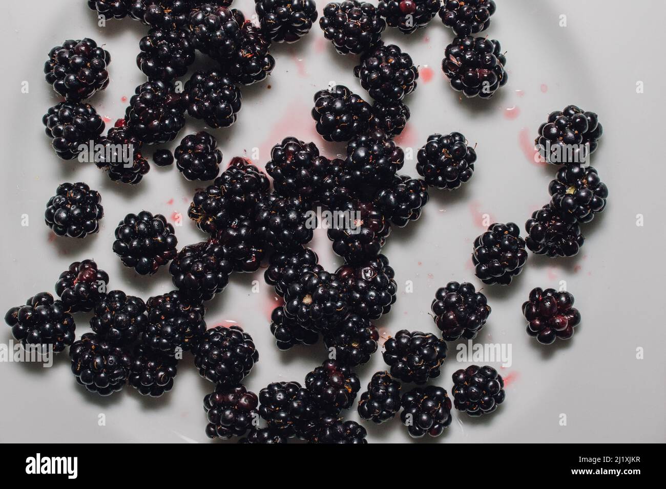 wild picked blackberry fruit on white plate Stock Photo