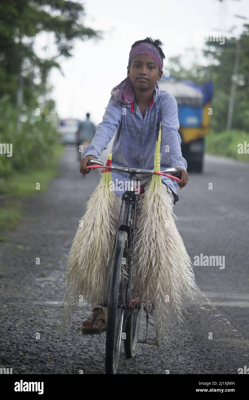 September 23, 2020, Barisal Airport, Barisal, Bangladesh. A child is carrying cashew flowers on a bicycle Stock Photo