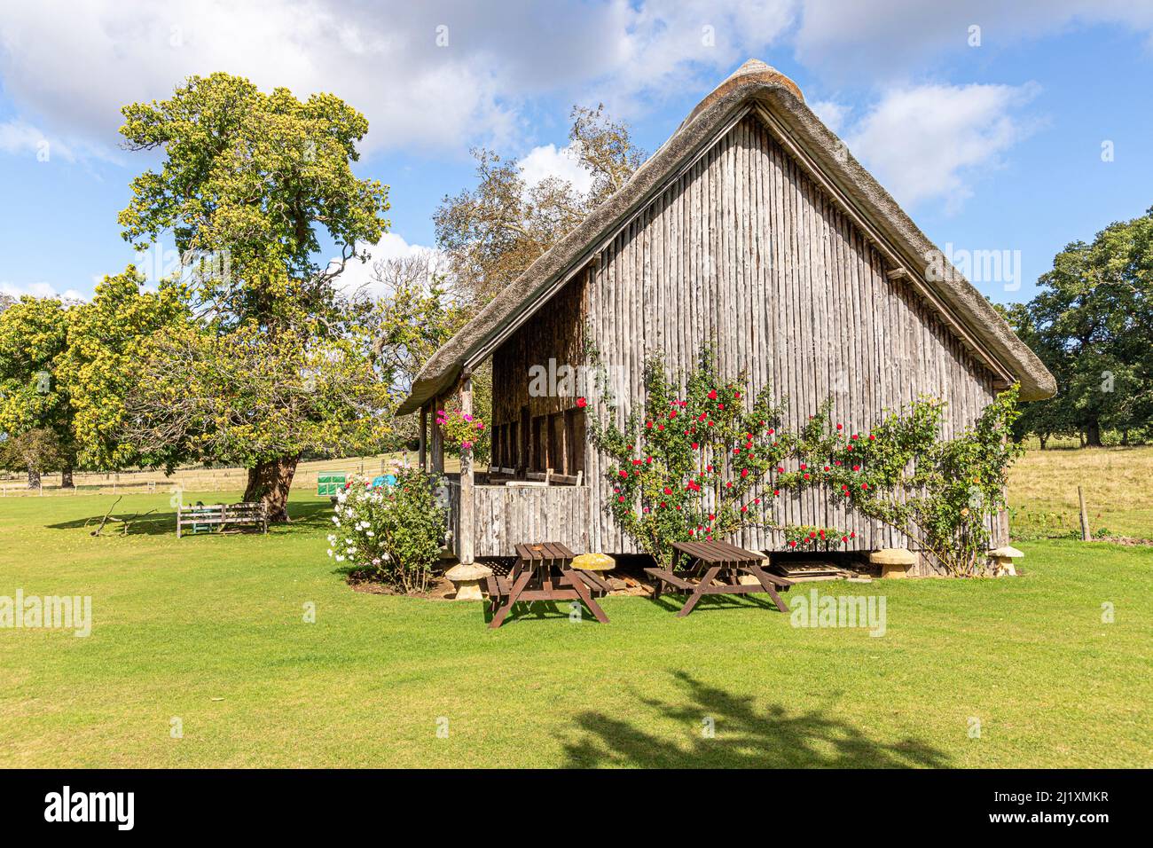 Roses growing on the wooden, thatched cricket pavilion raised up on staddle stones in the Cotswold village of Stanway, Gloucestershire, England UK Stock Photo