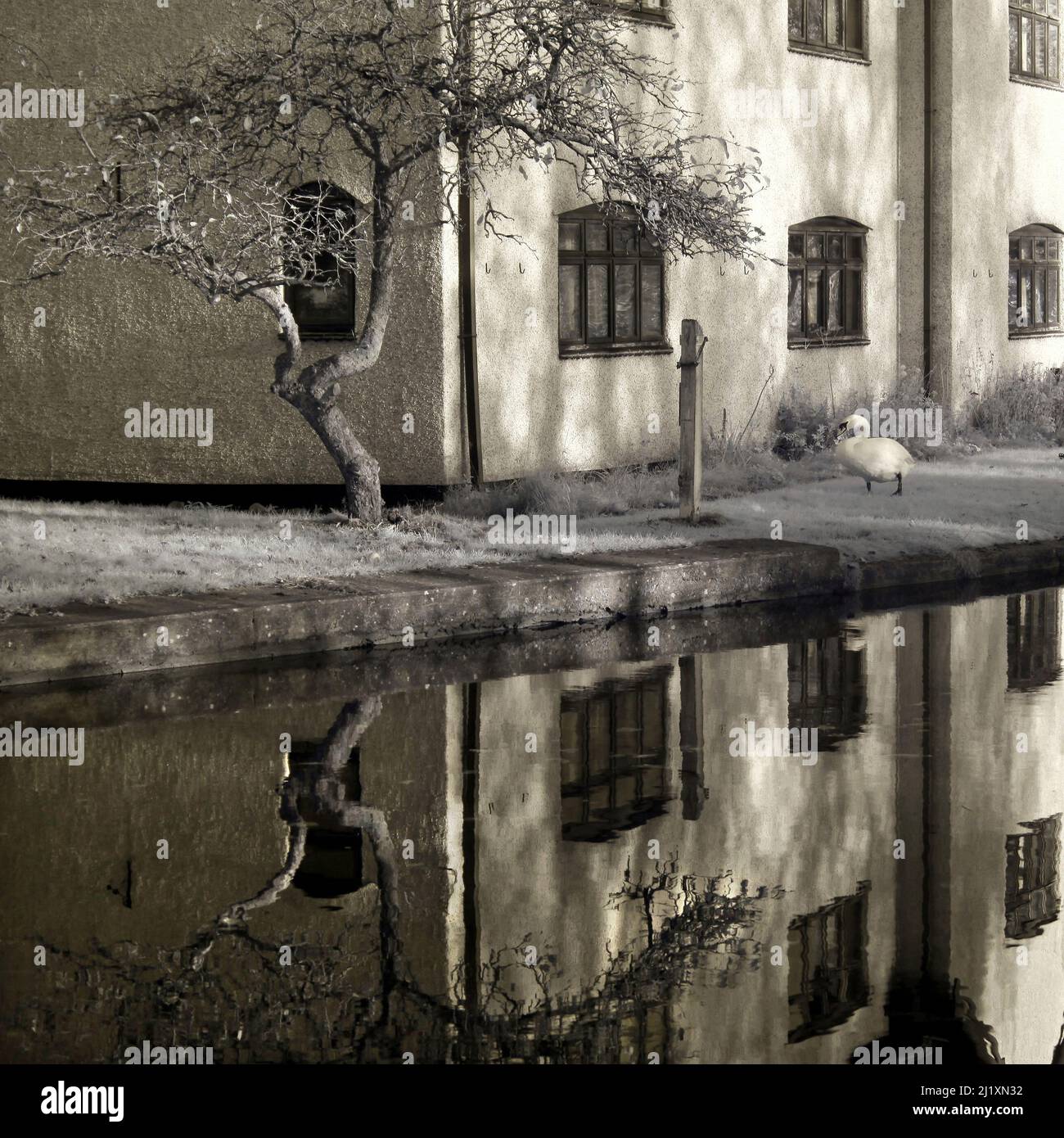 Black and white photograph of British Waterways canalside, showing a Sepia toned infrared image with light forms mirrored on the surface of water brin Stock Photo