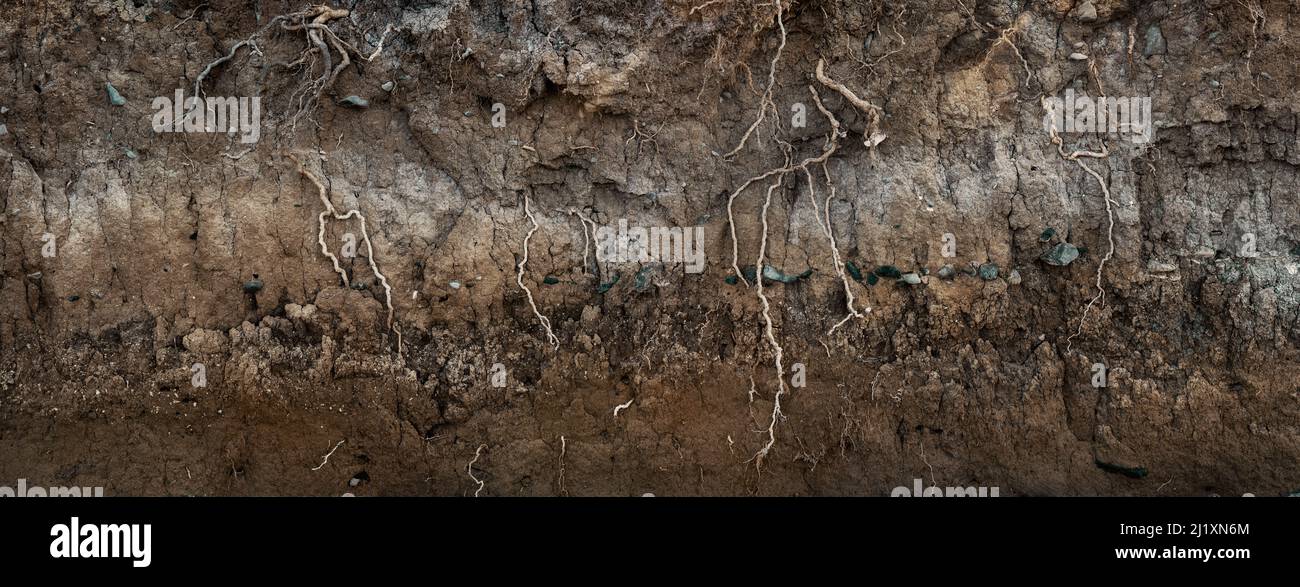 Underground earth texture, cross section of soil layers panorama Stock Photo