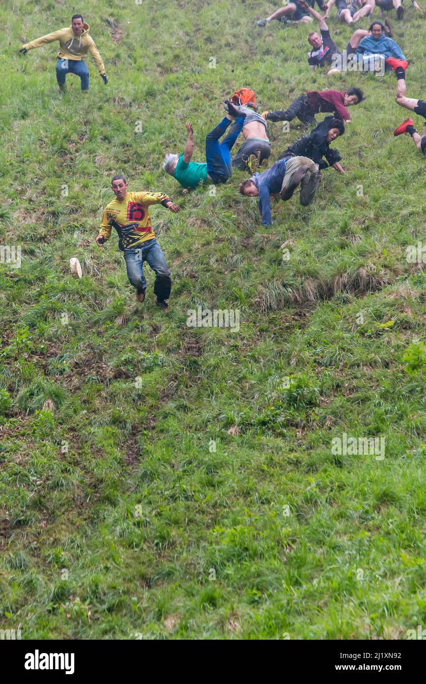 Gloucester, UK. The annual cheese rolling race held at Coopers Hill, Brockworth outside Gloucester. Competitors race down the extremly steep slippery hill chasing a double Gloucester cheese, the winner of each race recieves the cheese as thier prize. Stock Photo