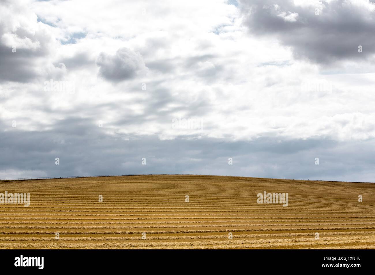 A dramatic cloudscape over a harvested field in the UK countryside with lines etched in the hillside to the horizon from the harvesting machinery. Stock Photo