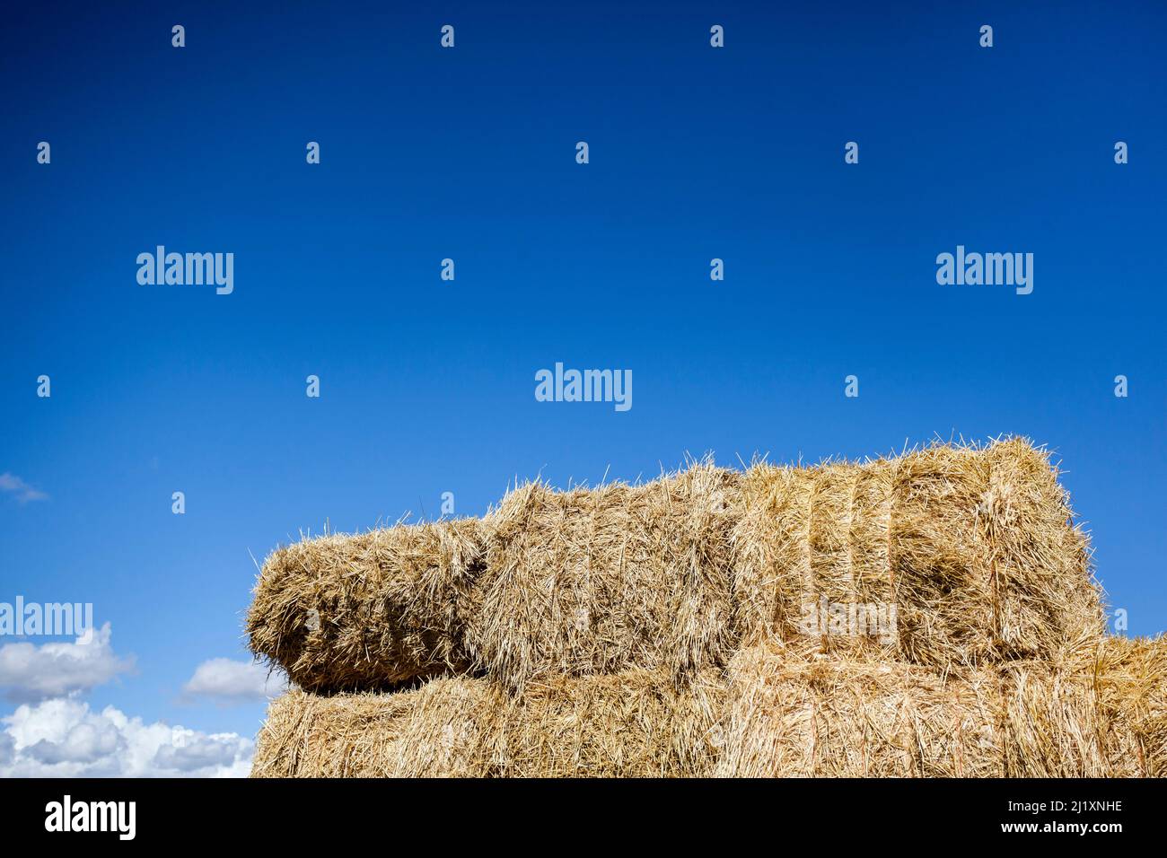 Top of a pile of hay hi-res stock photography and images - Alamy