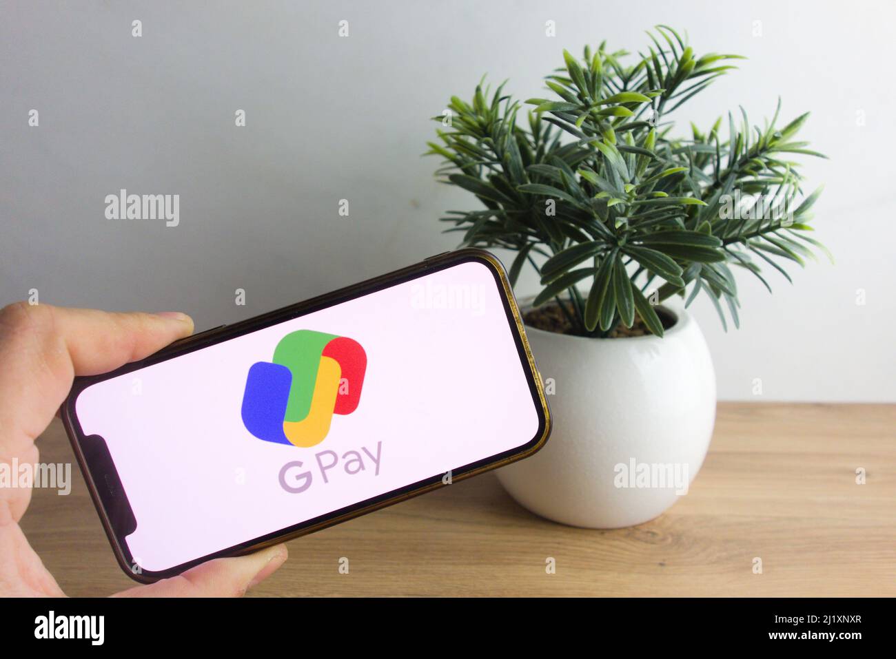Google visual data 2