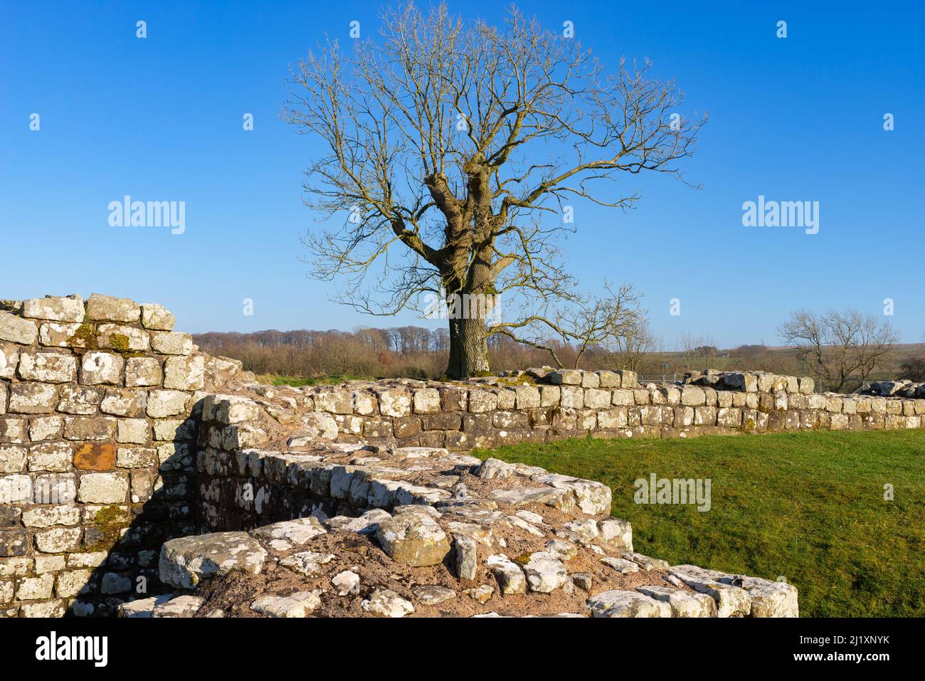 Ruins of Harrow's Scar, Milecastle 49 on Hadrian's Wall, in Northern