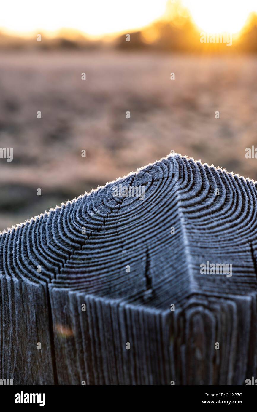A wooden post in a country field covered in delicate frost crystals. Stock Photo