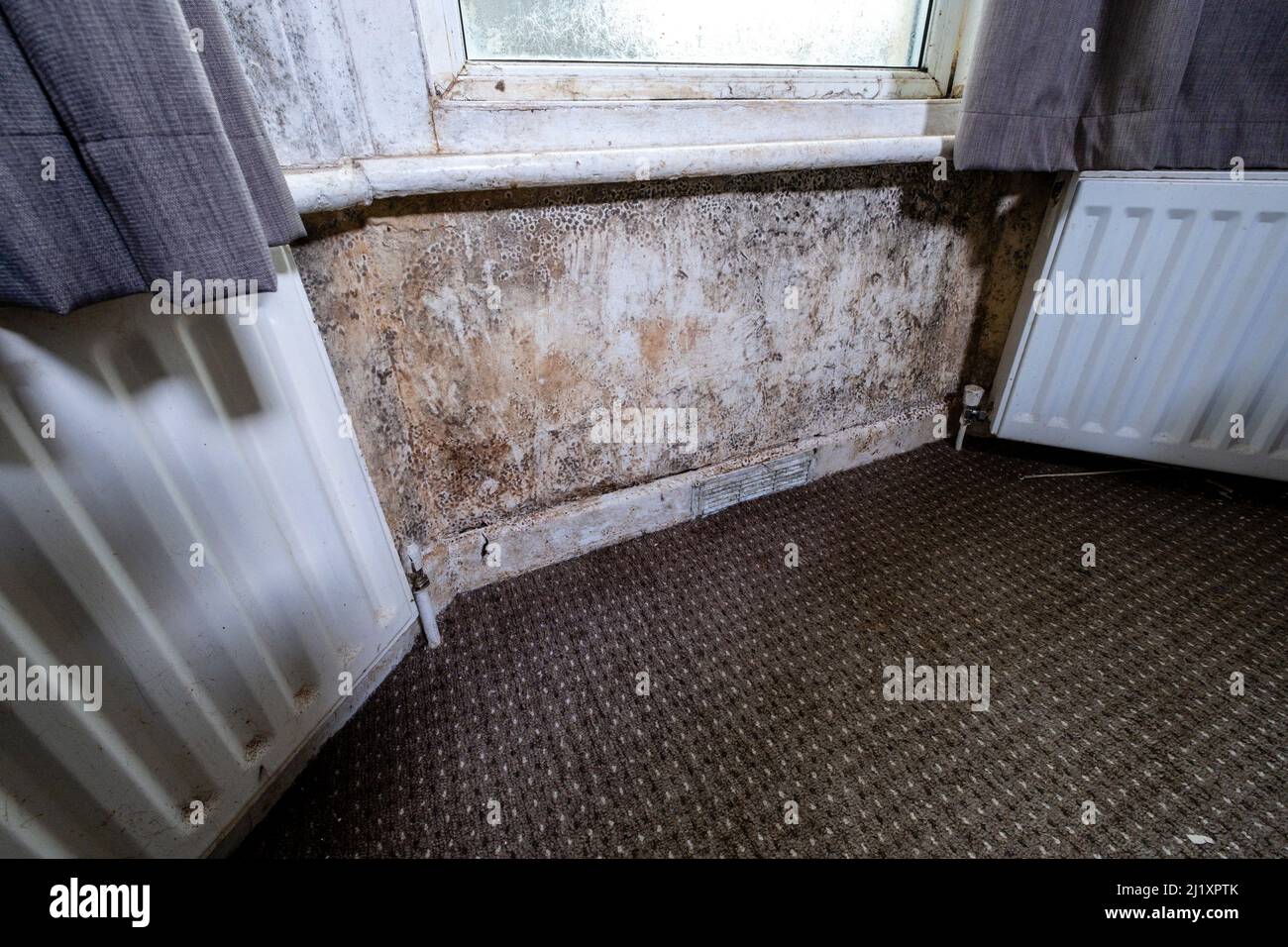 Terrible damp and mold on the walls and ceiling of a rented house