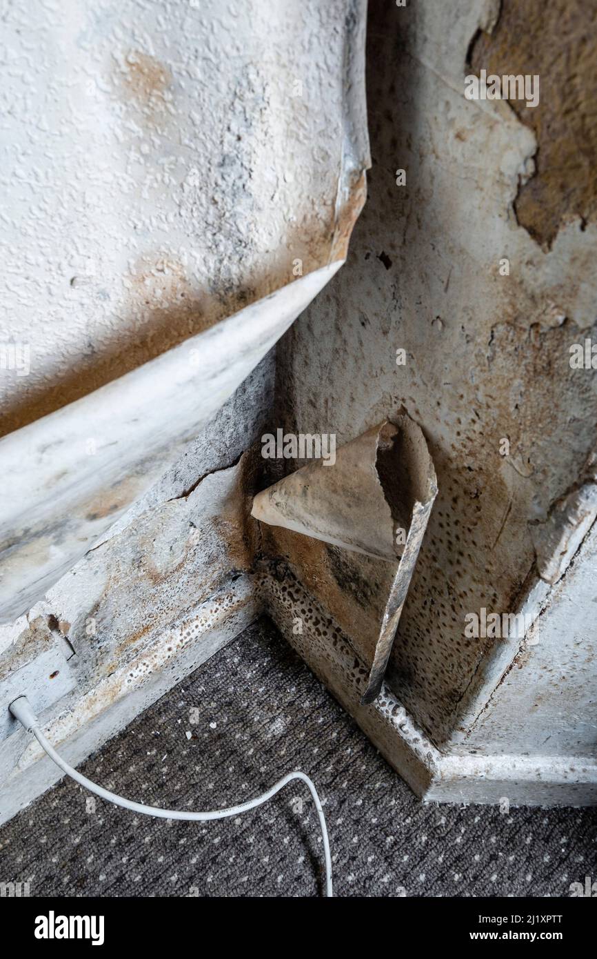 Terrible damp and mold on the walls and ceiling of a rented house