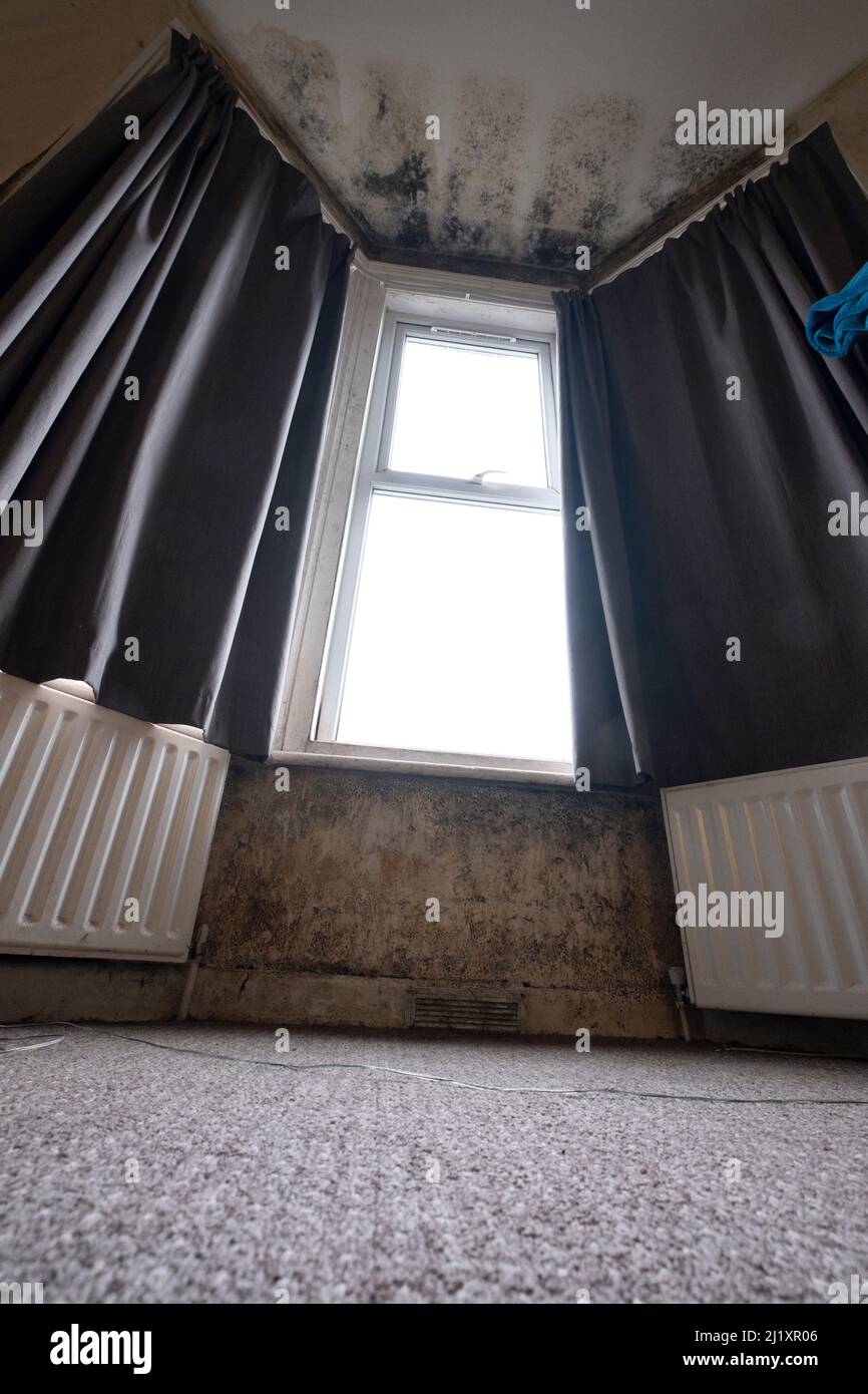 Terrible damp and mold on the walls and ceiling of a rented house