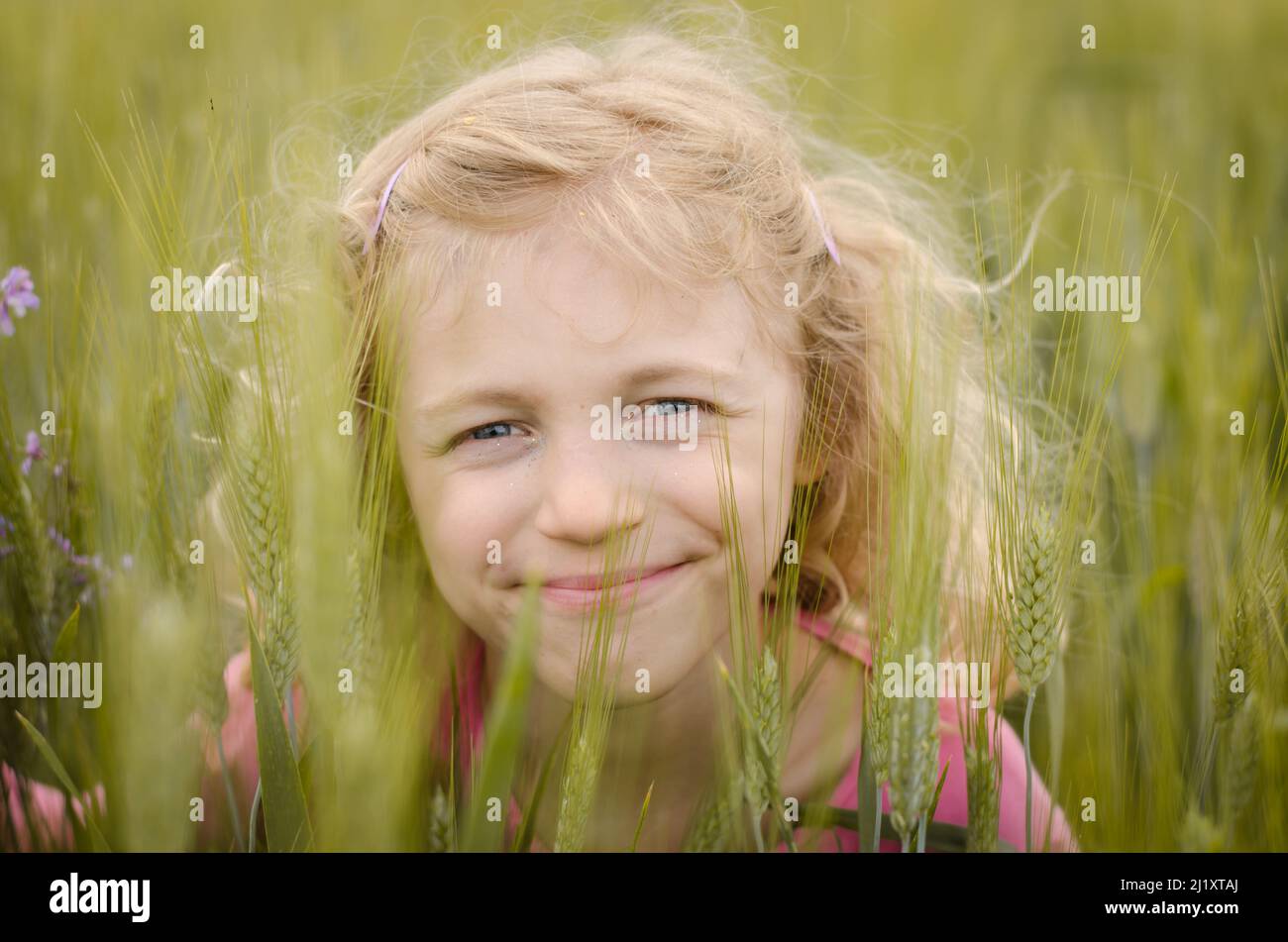 girl with long blond hair in spring green wheat field Stock Photo - Alamy