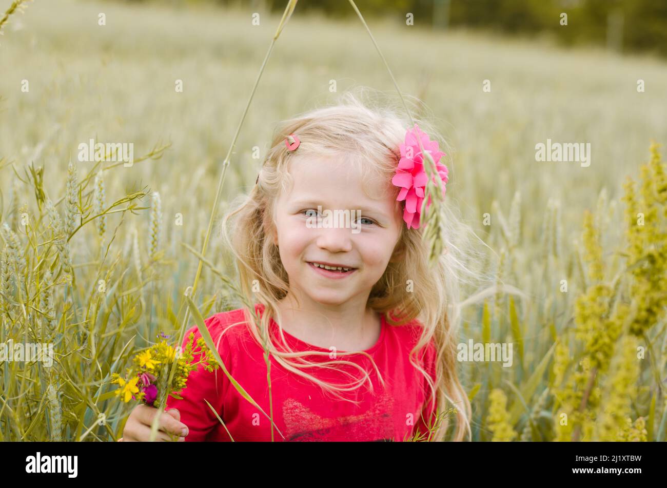 girl with long blond hair in spring green wheat field Stock Photo