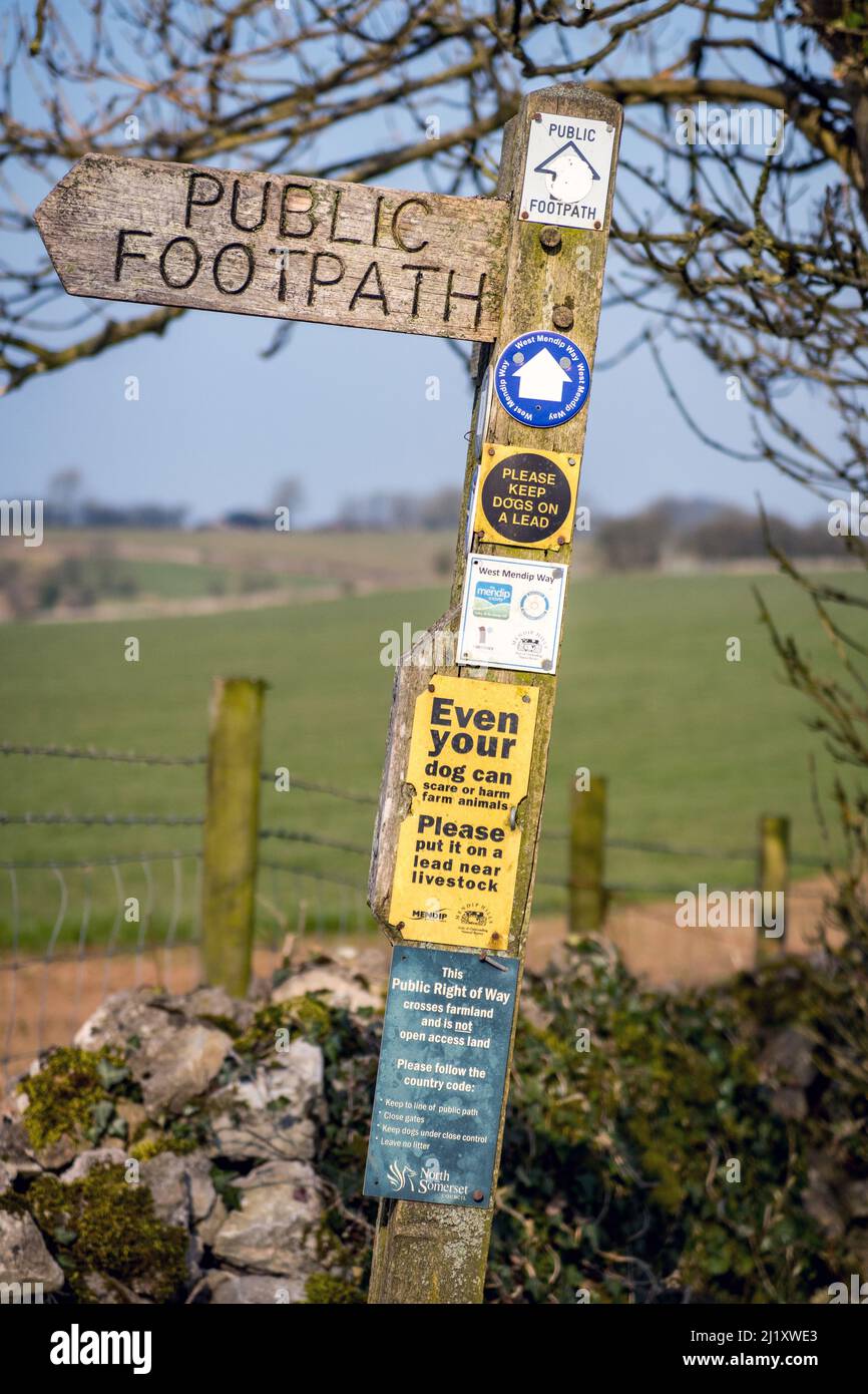 UK, England, Somerset. Near Priddy village. Wooden public footpath finger sign. West Mendip way. Dog control warnings around farm animals. Stock Photo