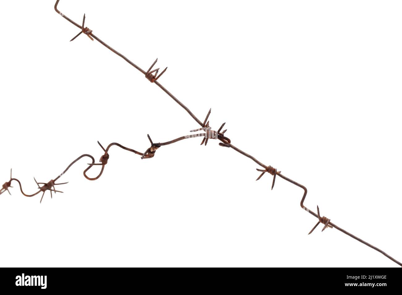 Rusty old barbed wire isolated on white background, abstract photo Stock Photo