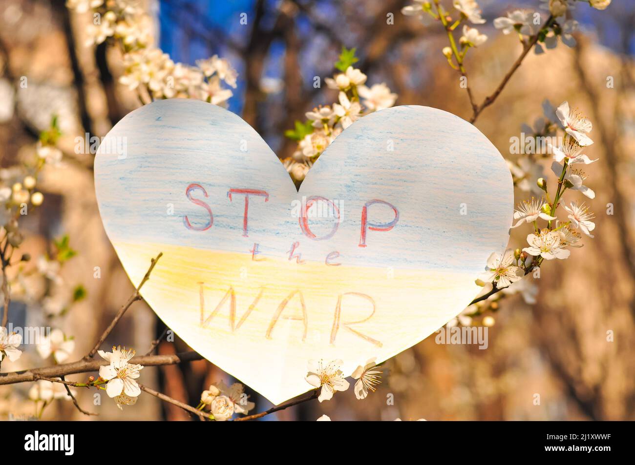 Ukrainian flag from paper heart shape with losung stop the war. Blooming Ukraine symbol Stock Photo