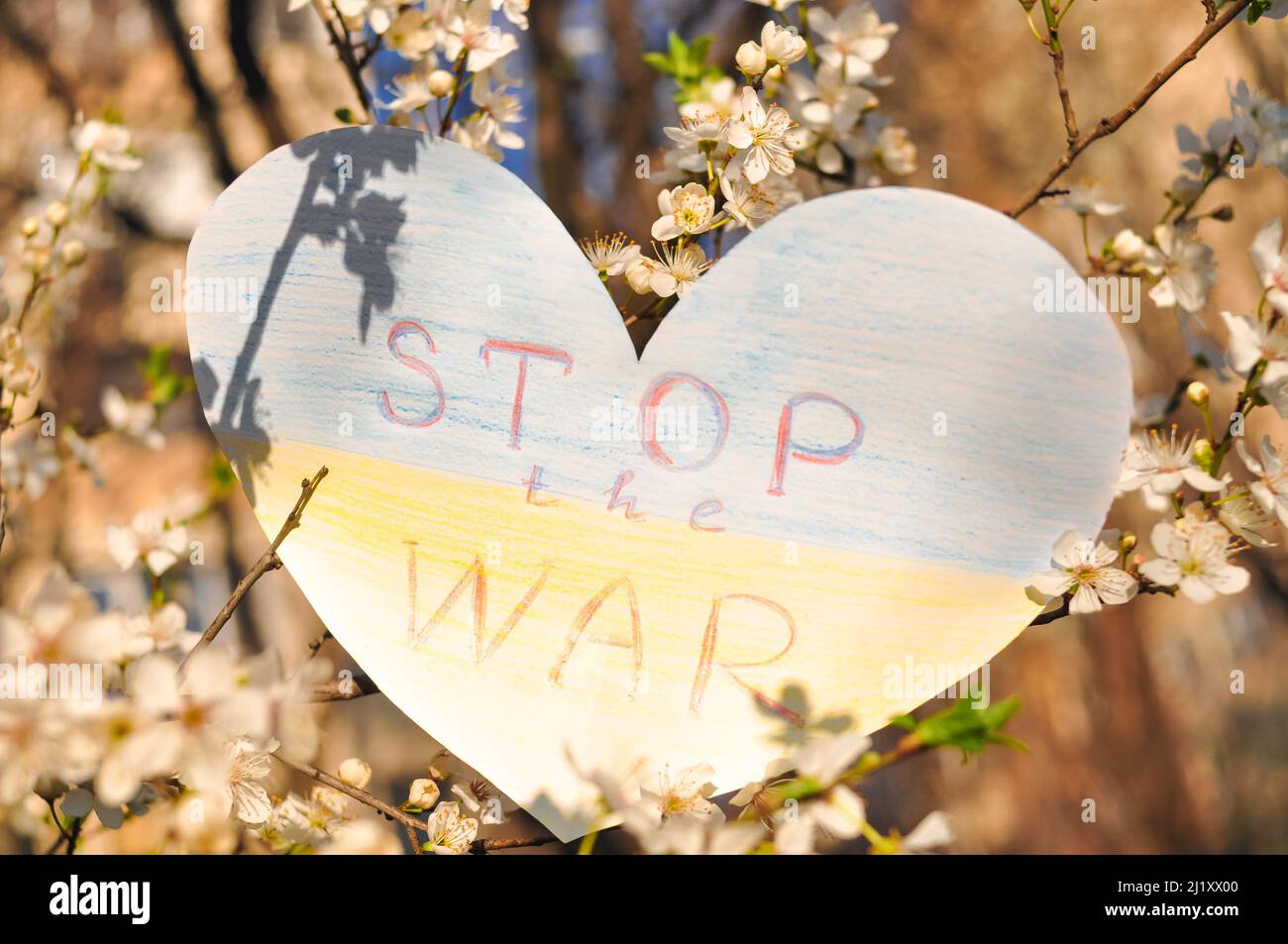 Ukrainian flag from paper heart shape with losung stop the war. Blooming Ukraine symbol Stock Photo
