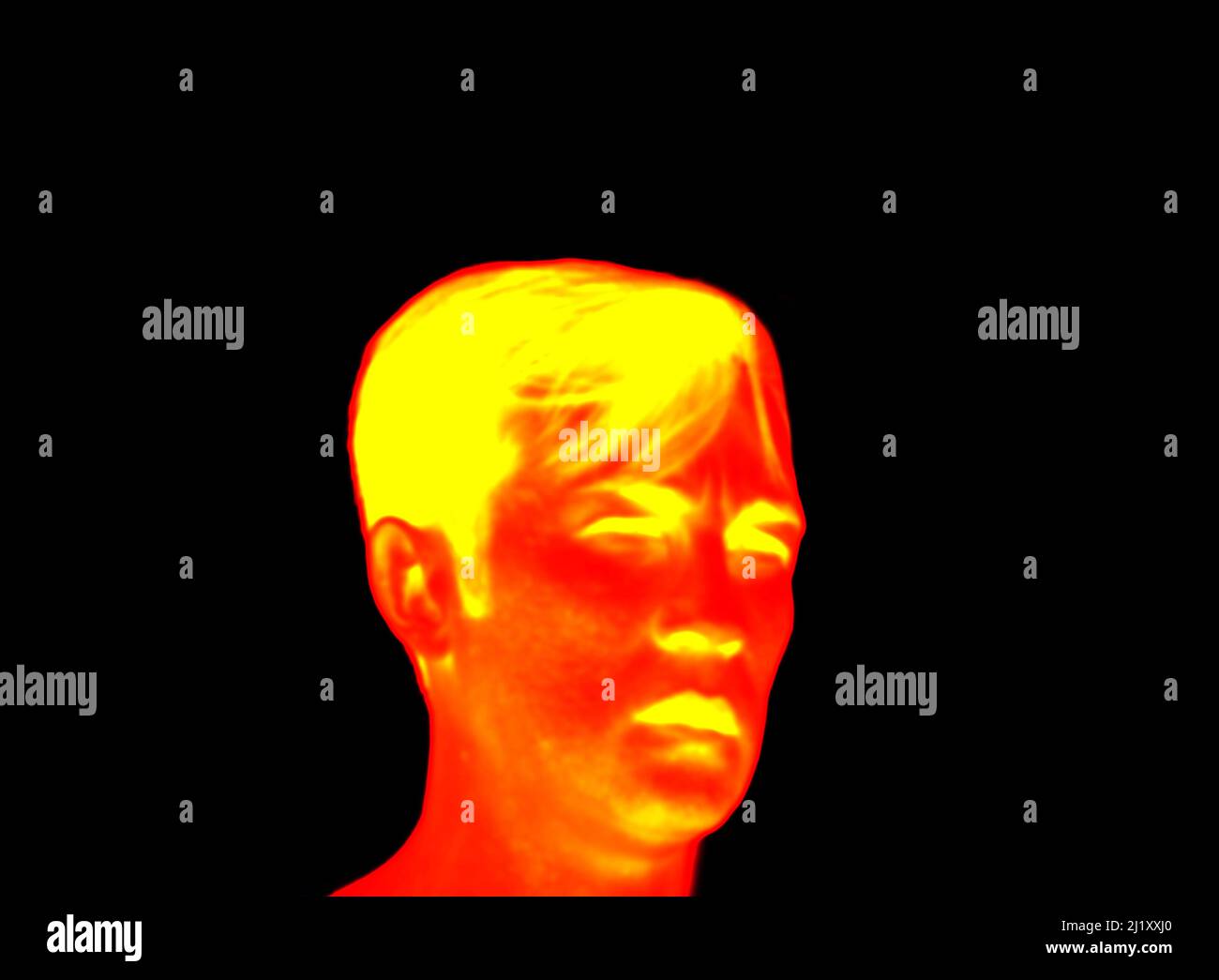 Strong willed appearance hires stock photography and images Alamy