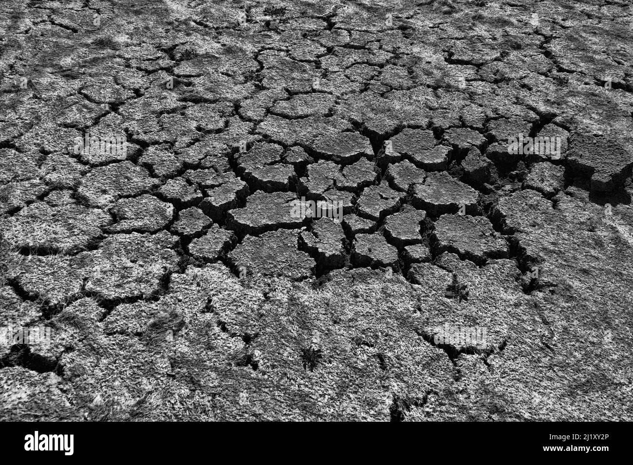 Low flow (summer steady low water level). The earth cracked as the water disappeared from the reservoir, summer drought, desiccated pond (river) Stock Photo