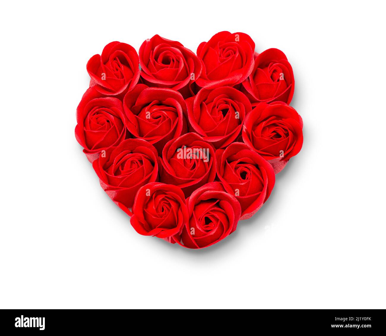 red rose flowers isolated on a white background arranged in the shape ...