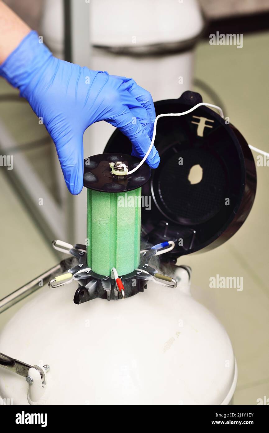 Dewar vessel with liquid nitrogen with frozen embryos and eggs in a cryobank in a modern IVF clinic. Reproductive medicine, in vitro fertilization Stock Photo